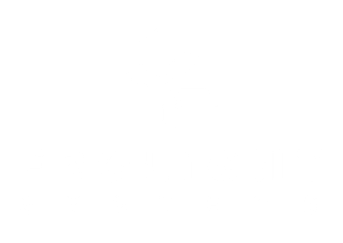 FROLIGHT Systems